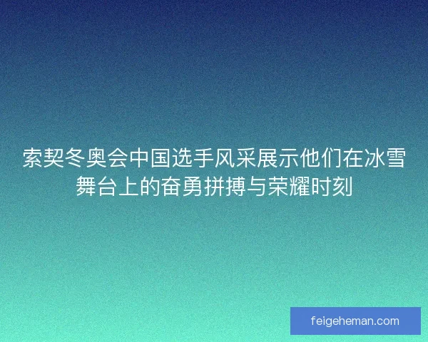 索契冬奥会中国选手风采展示他们在冰雪舞台上的奋勇拼搏与荣耀时刻